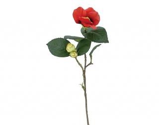 󤻾ʡ<br>إ硼ȥƥʣܡ<br>å