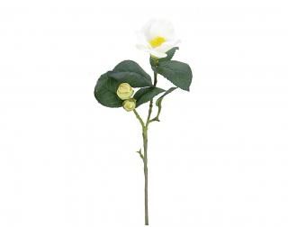 󤻾ʡ<br>إ硼ȥƥʣܡ<br>꡼