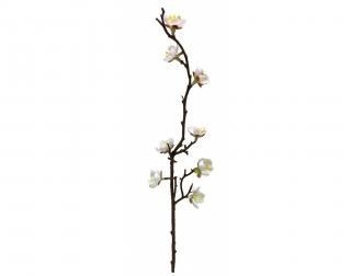 󤻾ʡ<br>ߥԥåʣܡ<br>꡼