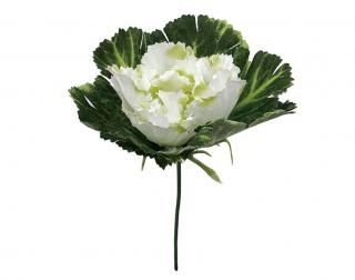 󤻾ʡ<br>ղðԥåʣܡ<br>꡼/꡼