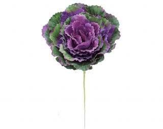 󤻾ʡ<br>ղðԥåʣܡ<br>٥