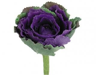 󤻾ʡ<br>ղðʣܡ<br>ѡץ