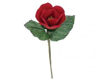 󤻾ʡ<br>ߥإԥåʣܡߣޡ<br>å