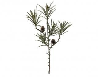 󤻾ʡ<br>ѥ󥳡ԥå<br>ѥʣ