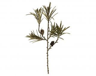 󤻾ʡ<br>ѥ󥳡ԥå<br>ɡʣ