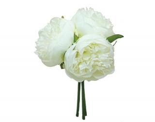 󤻾ʡ<br>ԥˡ֡6«<br/>꡼