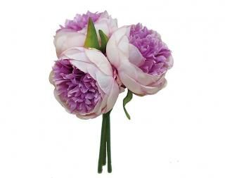 󤻾ʡ<br>ԥˡ֡6«<br/>٥