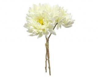 󤻾ʡ<br>٥٥åȥꥢХɥʣܡˡߣ«<br>꡼