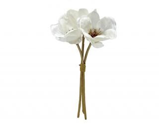 󤻾ʡ<br>ꥢ֡ʣܡˡߣ«<br>꡼