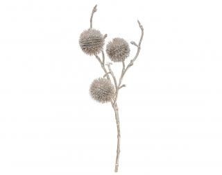 󤻾ʡ<br>å꥿ޥߡ6