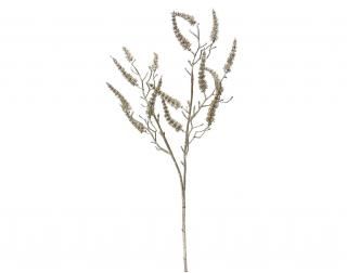 󤻾ʡ<br>ޥ󥵥ץ졼6<br>ѥ