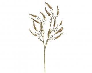 󤻾ʡ<br>ޥ󥵥ץ졼6<br>