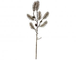 󤻾ʡ<br>ѥ󥳡󥹥ץ졼6<br>ѥ