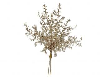 󤻾ʡ<br>եХɥ6«<br>ѥ