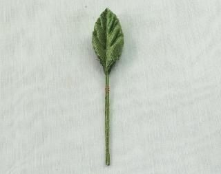 ƦХ꡼աڥͥݥġ