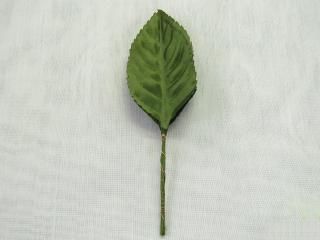 Х꡼ա硡꡼ڥͥݥġ