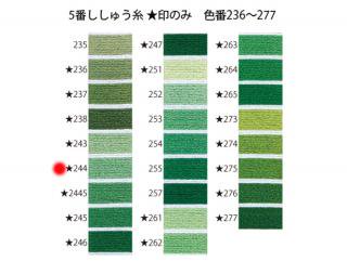 オリムパス刺繍糸<br />5番　/　243【ネコポス可】