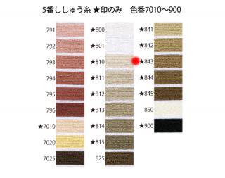 オリムパス刺繍糸<br />5番　/ 843【ネコポス可】