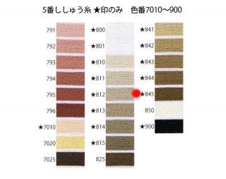 オリムパス刺繍糸<br />5番　/ 845【ネコポス可】