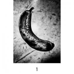 森山大道 Daido Moriyama - NADiff Online