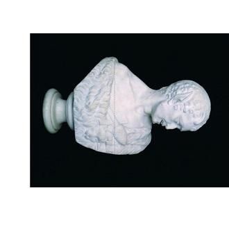 Mapplethorpe : The Complete Flowers 上田義彦