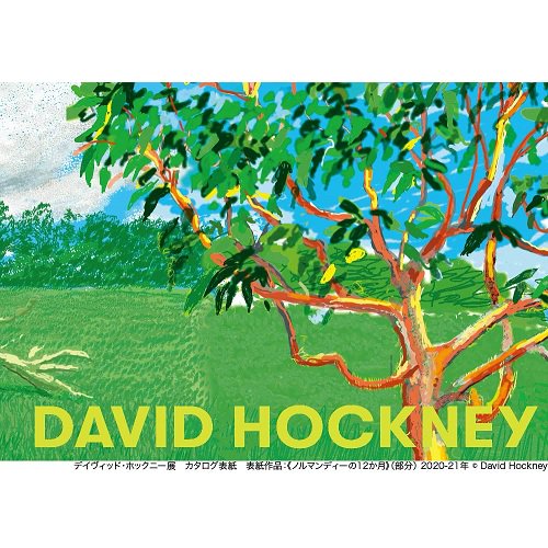 デイヴィッド・ホックニー展 カタログ DAVID HOCKNEY EXHIBITION 