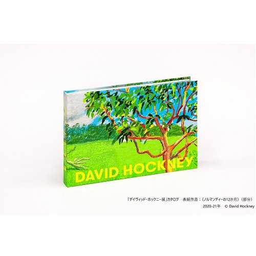 デイヴィッド・ホックニー展 カタログ DAVID HOCKNEY EXHIBITION 