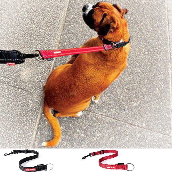 犬用リード 小型犬・中型犬・大型犬用 EZYDOG ソフトエクステンション 延長リード