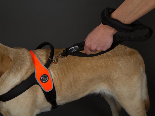 犬 リード 中型犬・大型犬用 トレ・ポンティDouble Safety Handle Leash | 犬グッズの通販ペットグッズショップMurol