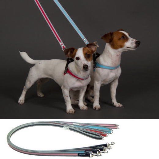 犬 リード 小型犬用 Leash for Small Breeds（リーシュフォースモールブリーズ） | 犬グッズの通販ペットグッズショップMurol