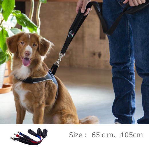 犬 リード 中型犬 大型犬用 トレ ポンティdouble Safety Handle Leash 犬グッズの通販ペットグッズショップmurol