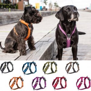 犬用首輪ハーネス ドッグコペンハーゲン - ペットグッズショップMurol