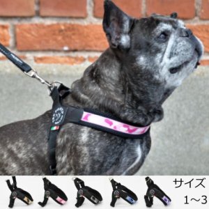 犬 ハーネス 小型犬用　トレ・ポンティ　Fibbia adjustable type Penny Collection（フィッビア　アジャスタブルタイプ ペニーコレクション） 