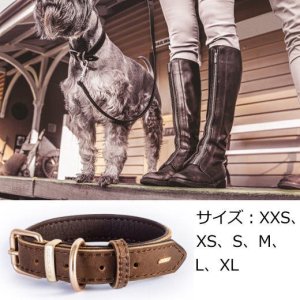    OXFORD LEATHER CLASSIC COLLAR(쥶顼