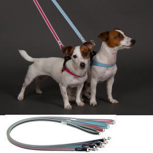 犬 リード 小型犬用 Leash For Small Breeds リーシュフォースモールブリーズ 犬グッズの通販ペットグッズショップmurol