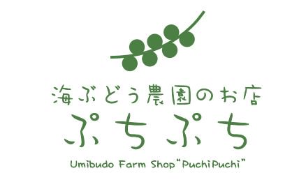 ぷちぷち　海ぶどう農園のお店　WEBショッピング