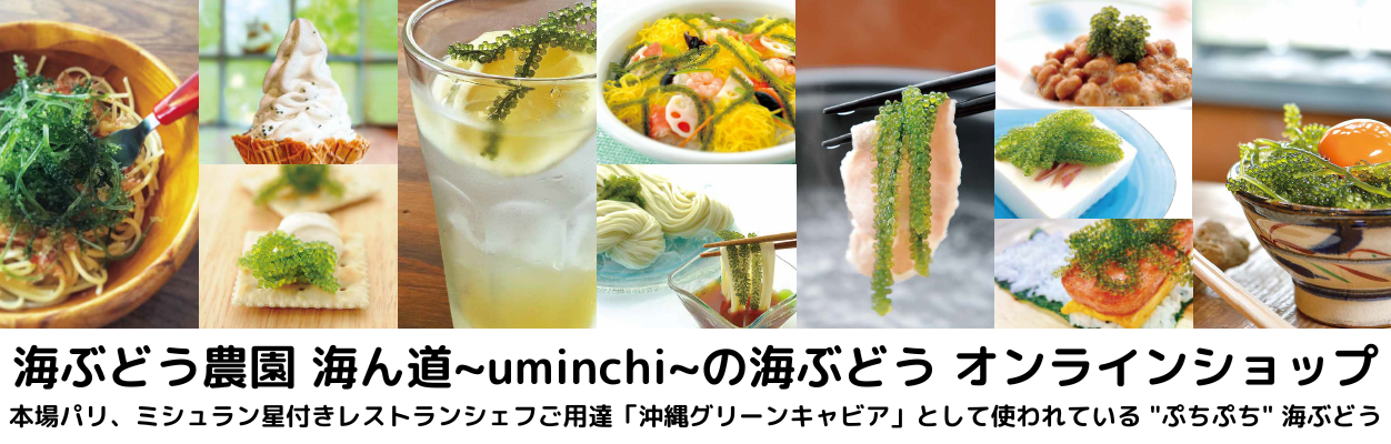 海ぶどう農園 海ん道~uminchi~の海ぶどう オンラインショップ　　　　　　　　　　　　　　　　　　　　　　　　　　　　　本場パリ、ミシュラン星付きレストランシェフご用達「沖縄グリーンキャビア」として使われている"ぷちぷち"海ぶどう