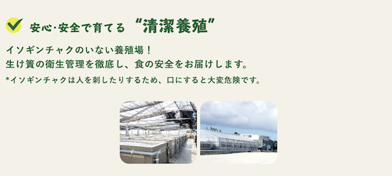 海ぶどう養殖場
