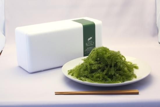 定期】海ぶどう大好きコース 海ぶどう300g×3回 - 【海ぶどう農園 海ん