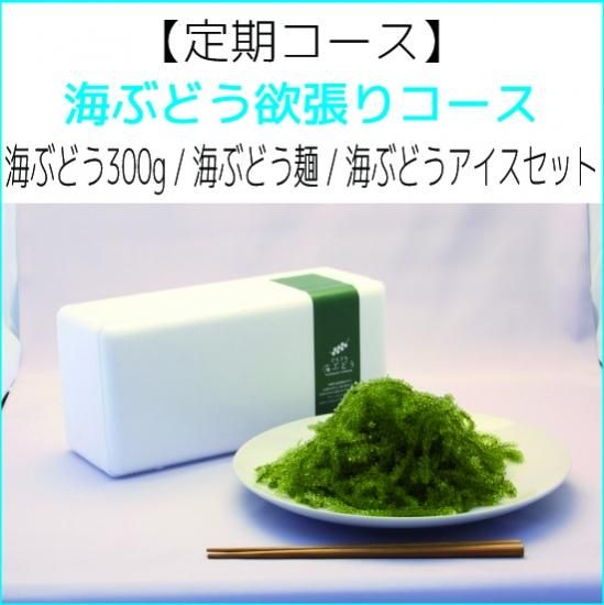 定期 海ぶどう欲張りコース 海ぶどう300g 海ぶどう麺 海ぶどうアイスセット ぷちぷち 海ぶどう農園のお店 Webショッピング 定期 海ぶどう欲張りコース 海ぶどう300g 海ぶどう麺 海ぶどうアイスセット ぷちぷち 海ぶどう農園のお店 Webショッピング