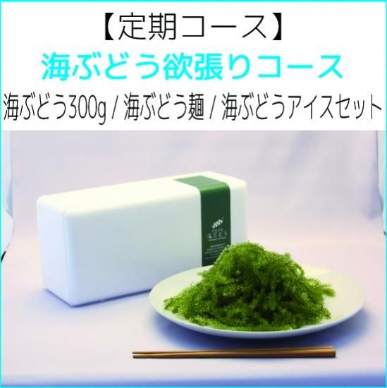 定期 海ぶどう欲張りコース 海ぶどう300g 海ぶどう麺 海ぶどうアイスセット ぷちぷち 海ぶどう農園のお店 Webショッピング