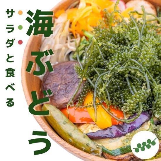 賞味期限2年】ふくらむぷちぷち海ぶどう（ぷちしゃきタイプ）30g×3pc