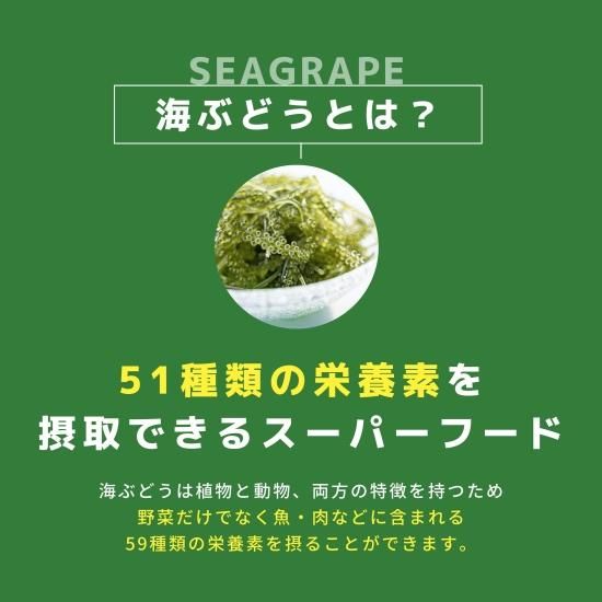ウミブドウさま専用ページです 賞味期限2年】ふくらむぷちぷち海ぶどう（ぷちしゃきタイプ）30g×3pc