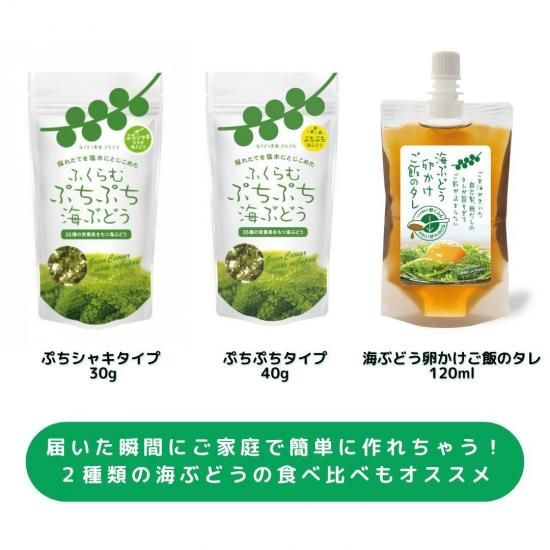 海ぶどうです☆ 海ぶどう農園 海ん道~uminchi~の海ぶどう オンラインショップ】 本場