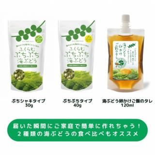 <img class='new_mark_img1' src='https://img.shop-pro.jp/img/new/icons1.gif' style='border:none;display:inline;margin:0px;padding:0px;width:auto;' />ϤƤ˿٤۳֤ɤ񤫤ӥåȡʳ֤ɤܥ