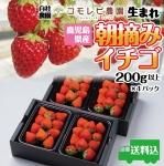 <img class='new_mark_img1' src='https://img.shop-pro.jp/img/new/icons1.gif' style='border:none;display:inline;margin:0px;padding:0px;width:auto;' />ߤΤ/Ȥۤä/ˡ200g4Pҥ໺ӡ