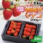 <img class='new_mark_img1' src='https://img.shop-pro.jp/img/new/icons1.gif' style='border:none;display:inline;margin:0px;padding:0px;width:auto;' />ߤΤ/Ȥۤä/ˡ200g2Pҥ໺