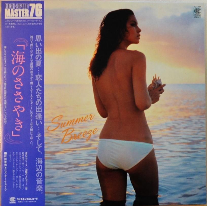 前田憲男 ヒズ オーケストラ Norio Maeda His Orchestra 海のささやき Summer Breeze Lp Hip Tank Records