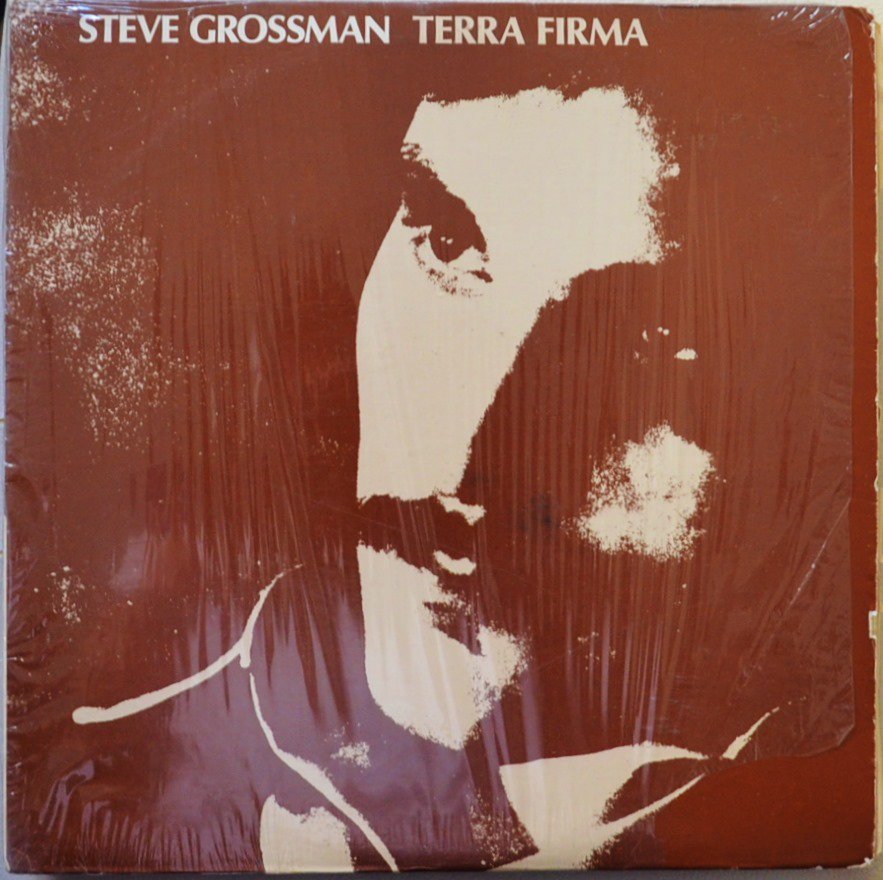 STEVE GROSSMAN / TERRA FIRMA (LP)