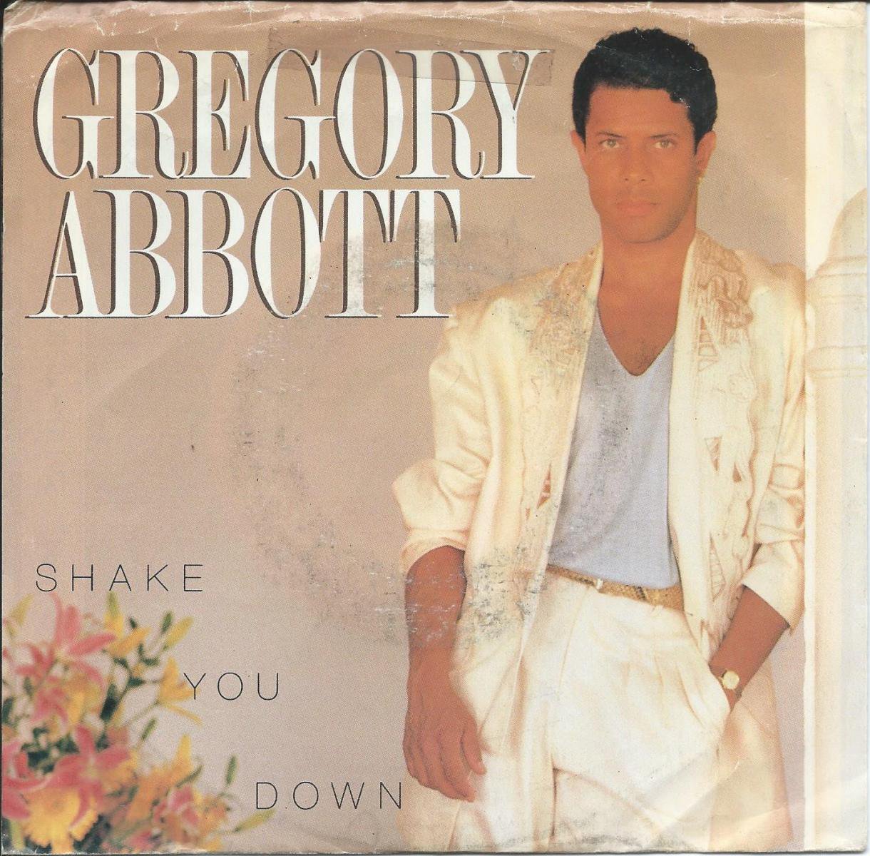 GREGORY ABBOTT / SHAKE YOU DOWN (7